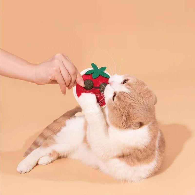 PurLab Veggie Dental Catnip Toy (3 Designs) - CreatureLand