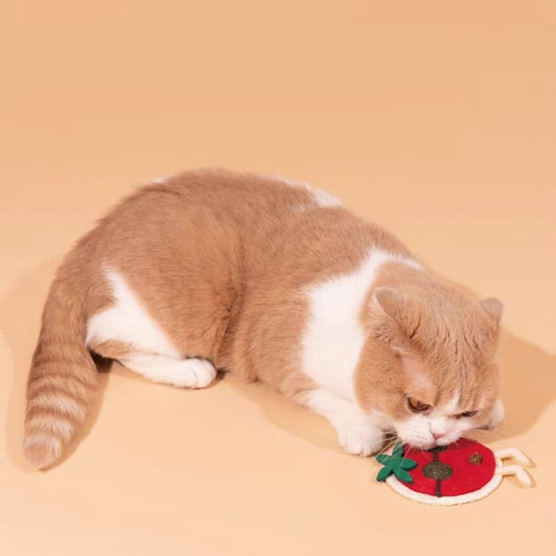 PurLab Veggie Dental Catnip Toy (3 Designs) - CreatureLand