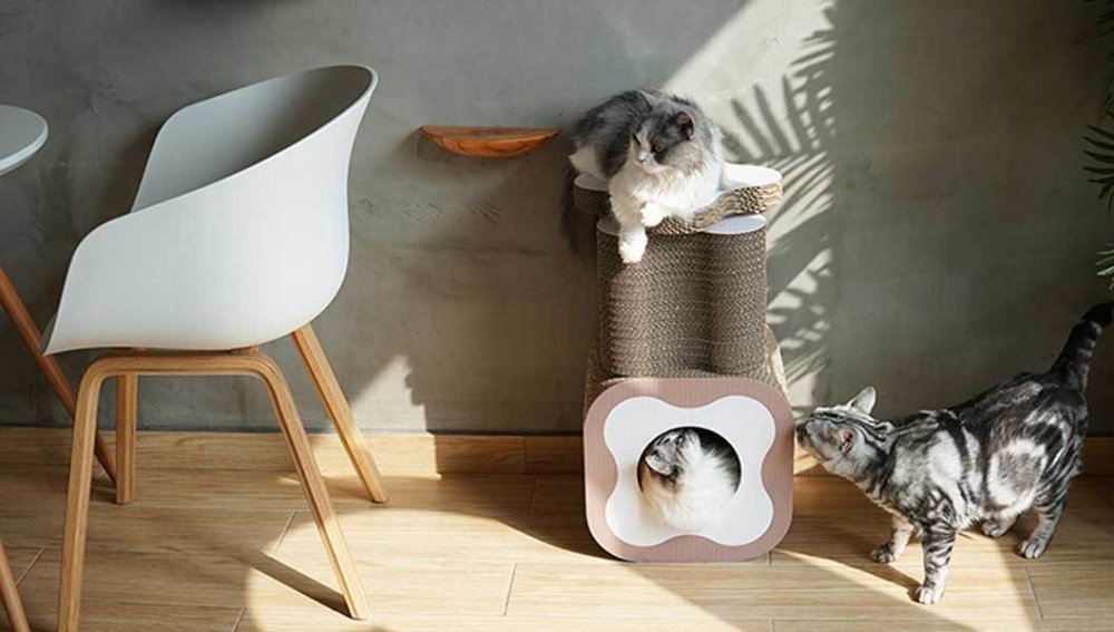 Purroom Plumeria Cat Scratcher - CreatureLand