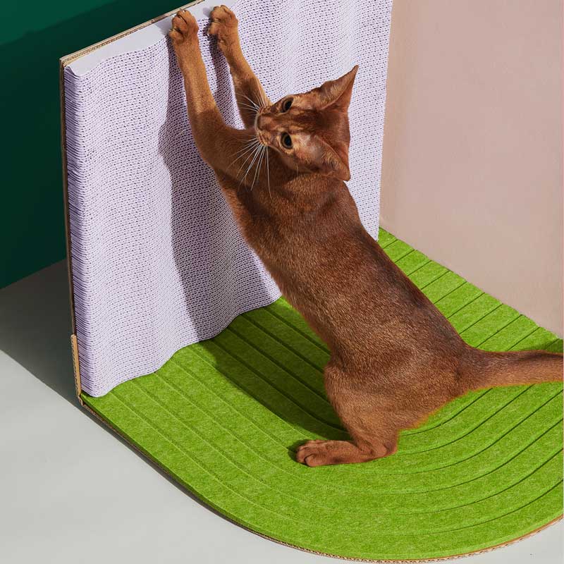 Purrre 3-Dimensional Cat Scratcher (2 Colours) - CreatureLand