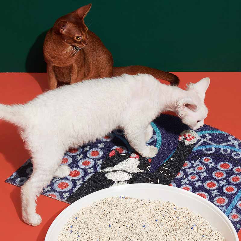 Purrre Purrre x Lin | Cat Litter & Door Mat - Meow #34 - CreatureLand