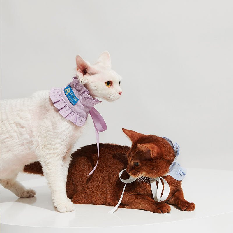 Purrre Ruffle Neck Collar (3 colours) - CreatureLand