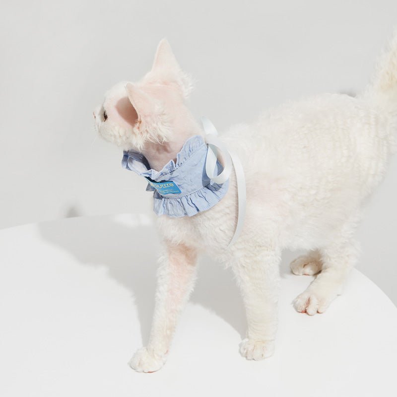 Purrre Ruffle Neck Collar (3 colours) - CreatureLand