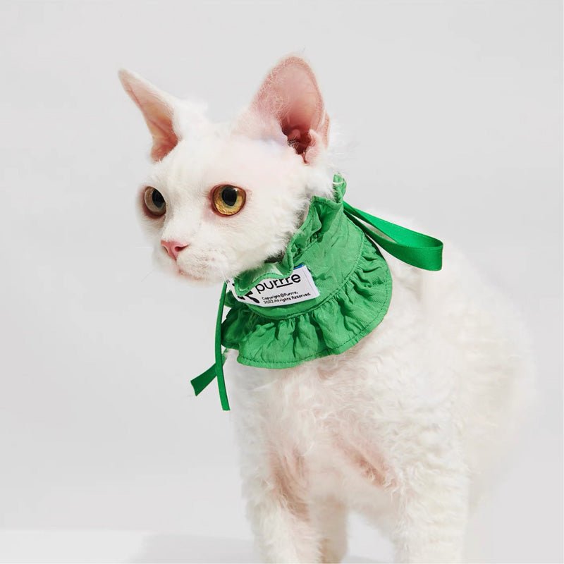 Purrre Ruffle Neck Collar (3 colours) - CreatureLand