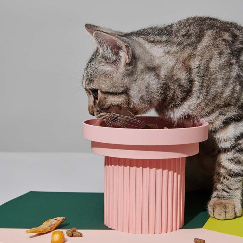 Purrre Teeth Party Elevated Feeders (4 Colours) - CreatureLand