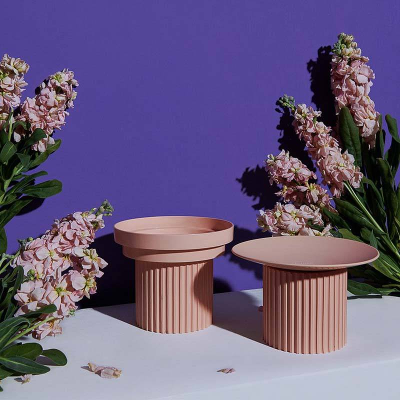 Purrre Teeth Party Elevated Feeders (4 Colours) - CreatureLand