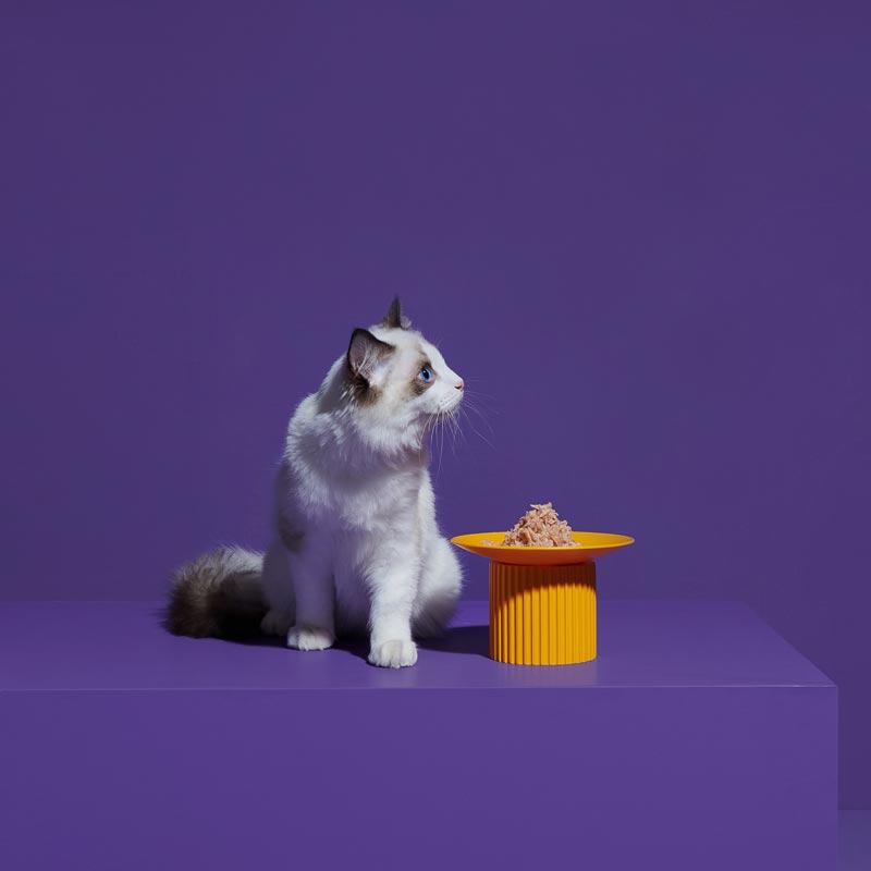 Purrre Teeth Party Elevated Feeders (4 Colours) - CreatureLand