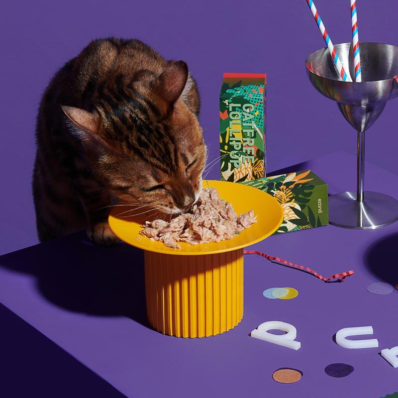 Purrre Teeth Party Elevated Feeders (4 Colours) - CreatureLand