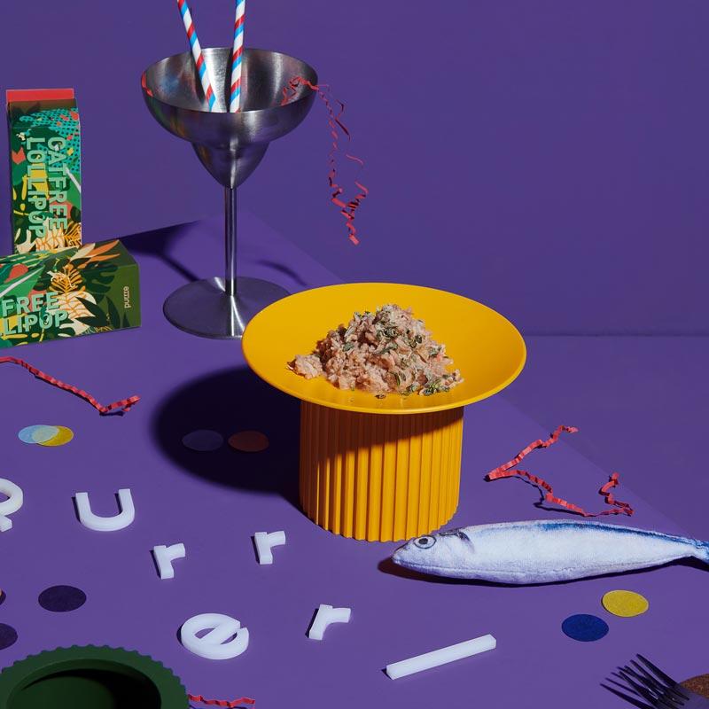 Purrre Teeth Party Elevated Feeders (4 Colours) - CreatureLand