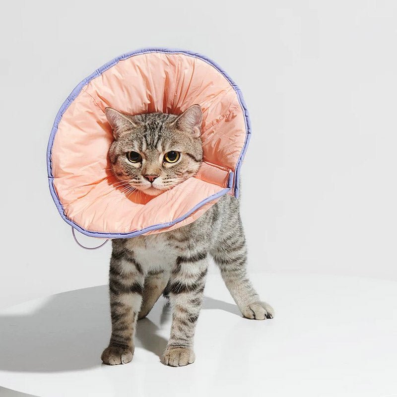 Purrre Two-Way Elizabethan Collar | Shell Pink - CreatureLand