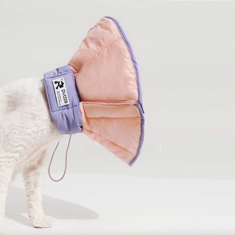 Purrre Two-Way Elizabethan Collar | Shell Pink - CreatureLand