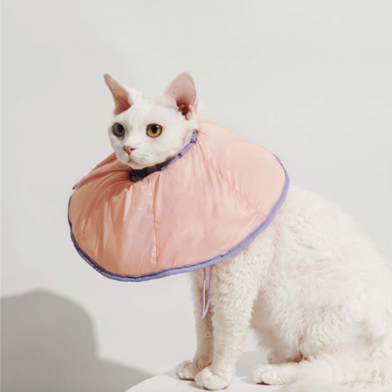 Purrre Two-Way Elizabethan Collar | Shell Pink - CreatureLand