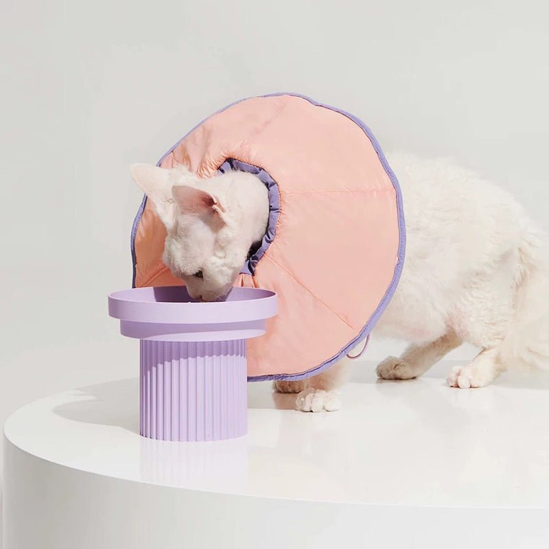 Purrre Two-Way Elizabethan Collar | Shell Pink - CreatureLand