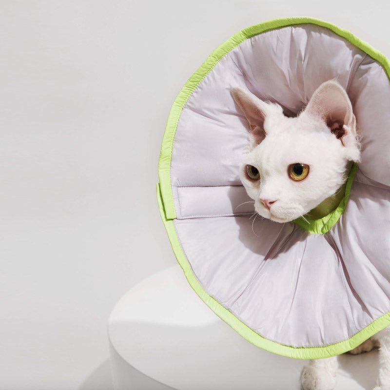 Purrre Two-Way Elizabethan Collar | Violet - CreatureLand