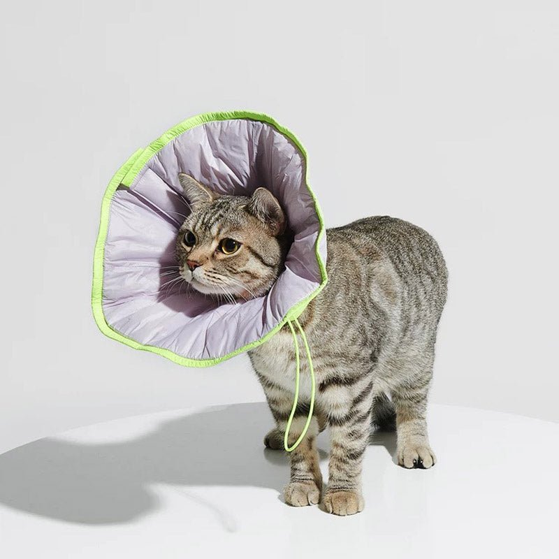 Purrre Two-Way Elizabethan Collar | Violet - CreatureLand