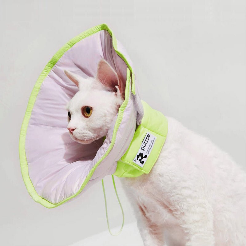 Purrre Two-Way Elizabethan Collar | Violet - CreatureLand