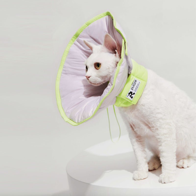 Purrre Two-Way Elizabethan Collar | Violet - CreatureLand