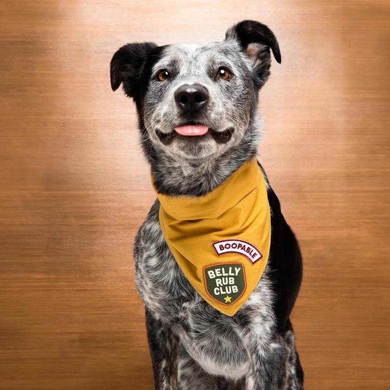 Scout's Honour Belly Rub Club Merit Badge - CreatureLand