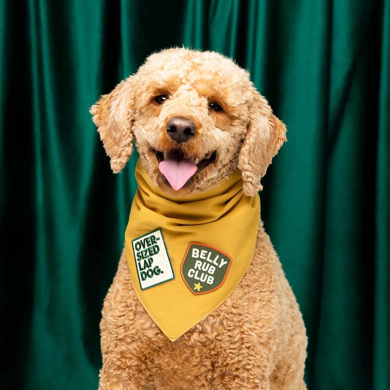 Scout's Honour Belly Rub Club Merit Badge - CreatureLand