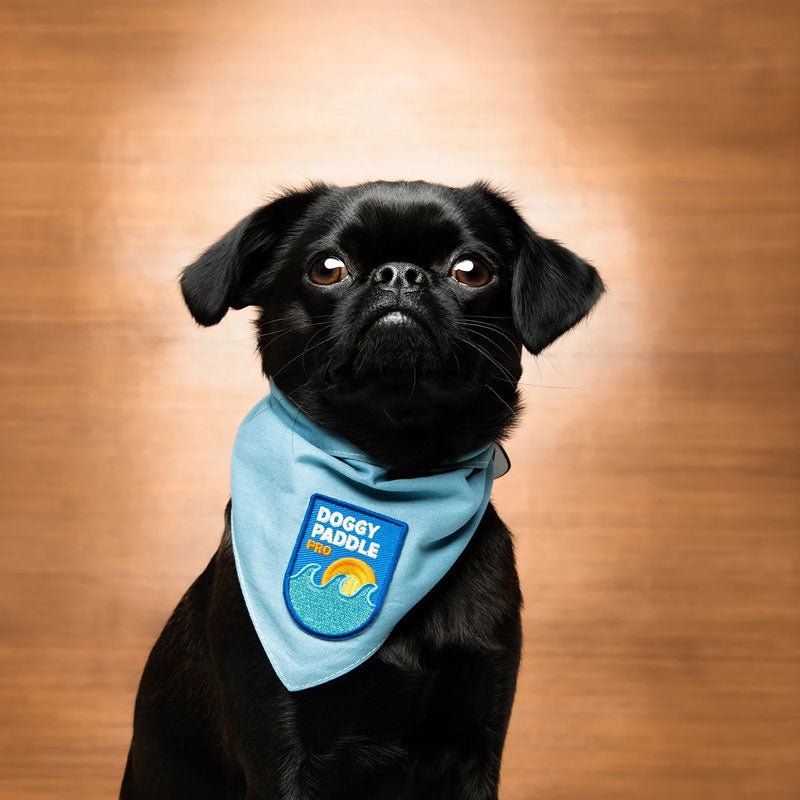 Scout's Honour Doggy Paddle Merit Badge - CreatureLand