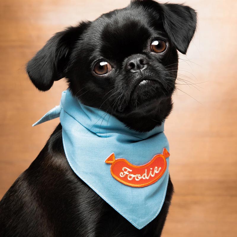 Scout's Honour Foodie Merit Badge - CreatureLand