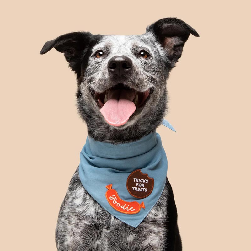 Scout's Honour Foodie Merit Badge - CreatureLand