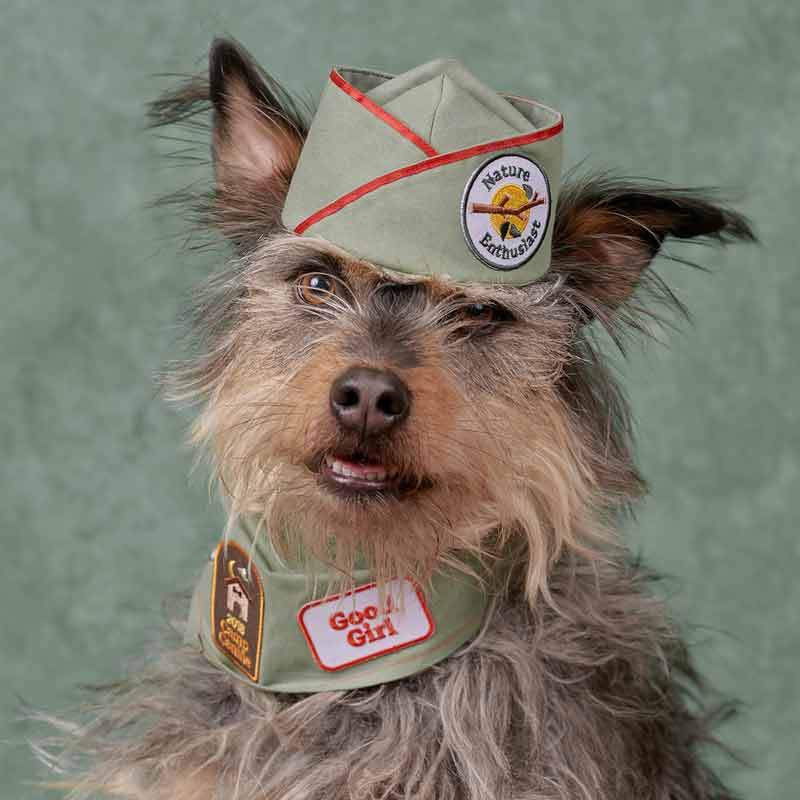 Scout's Honour Good Girl Merit Badge - CreatureLand