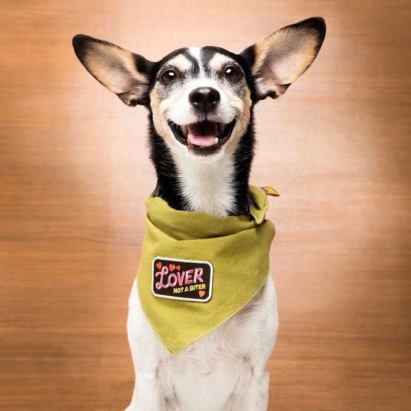 Scout's Honour Lover not a Biter Merit Badge - CreatureLand