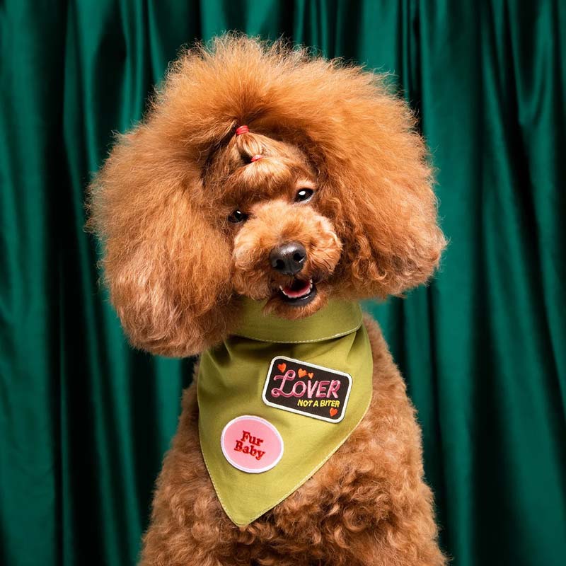 Scout's Honour Lover not a Biter Merit Badge - CreatureLand