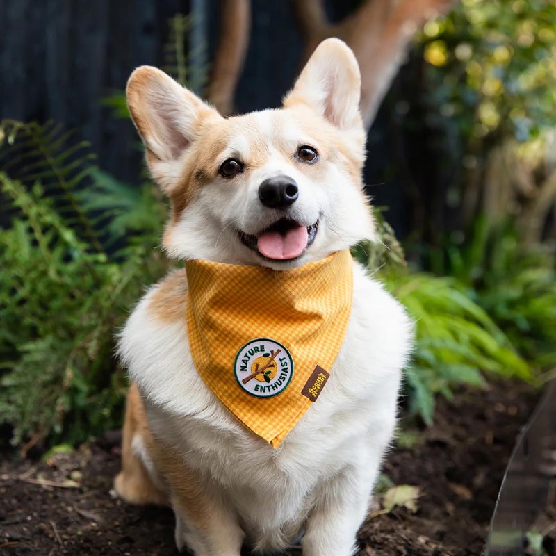 Scout's Honour Nature Enthusiast Merit Badge - CreatureLand