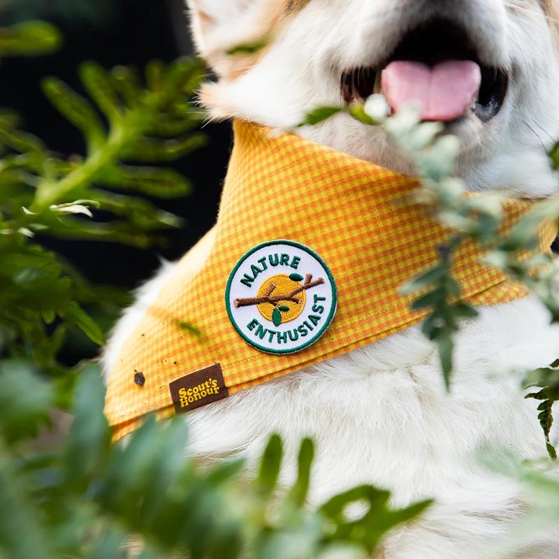 Scout's Honour Nature Enthusiast Dog Badge