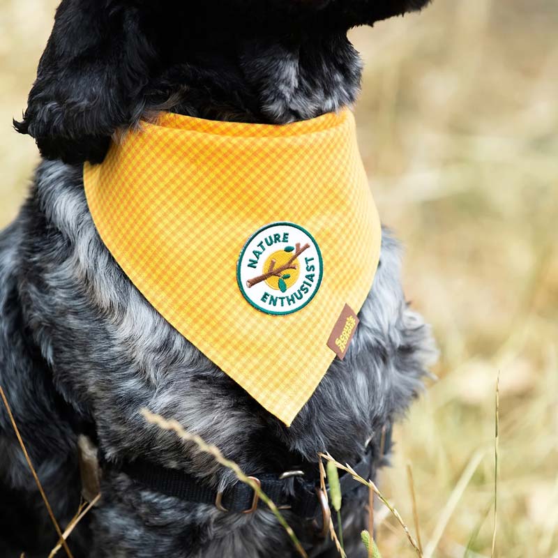 Scout's Honour Nature Enthusiast Merit Badge - CreatureLand