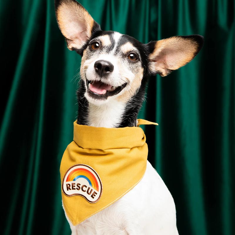 Scout's Honour Rescue Merit Badge - CreatureLand