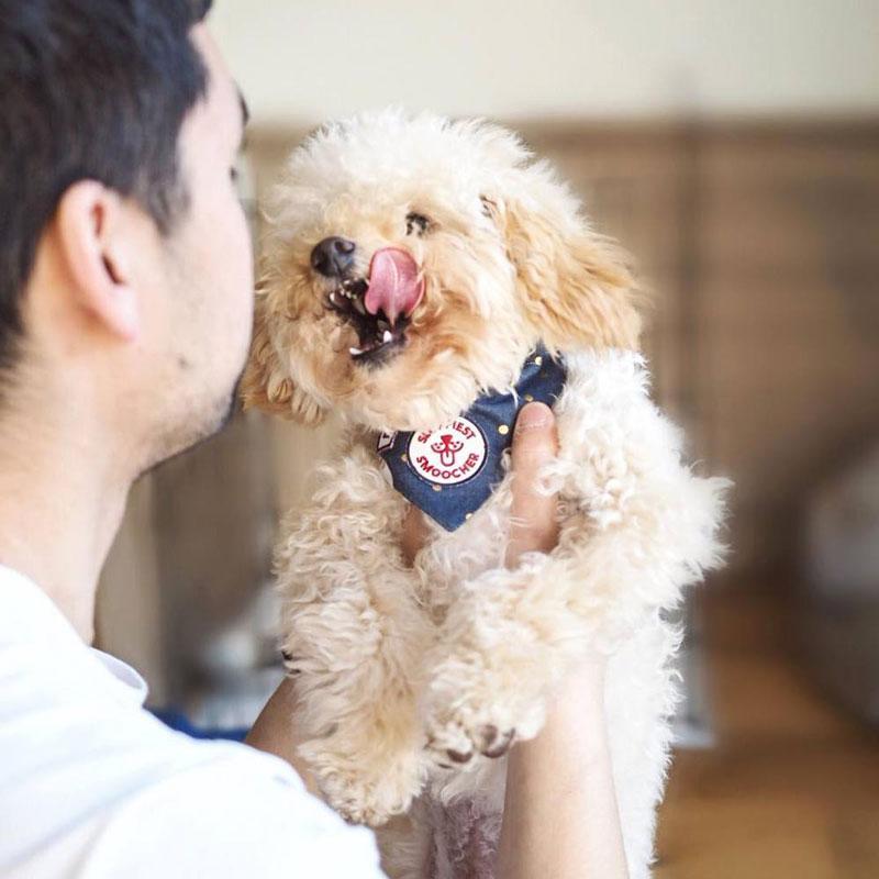 Scout's Honour Sloppiest Smoocher Merit Badge - CreatureLand