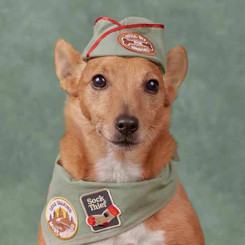 Scout's Honour Sock Thief Merit Badge - CreatureLand
