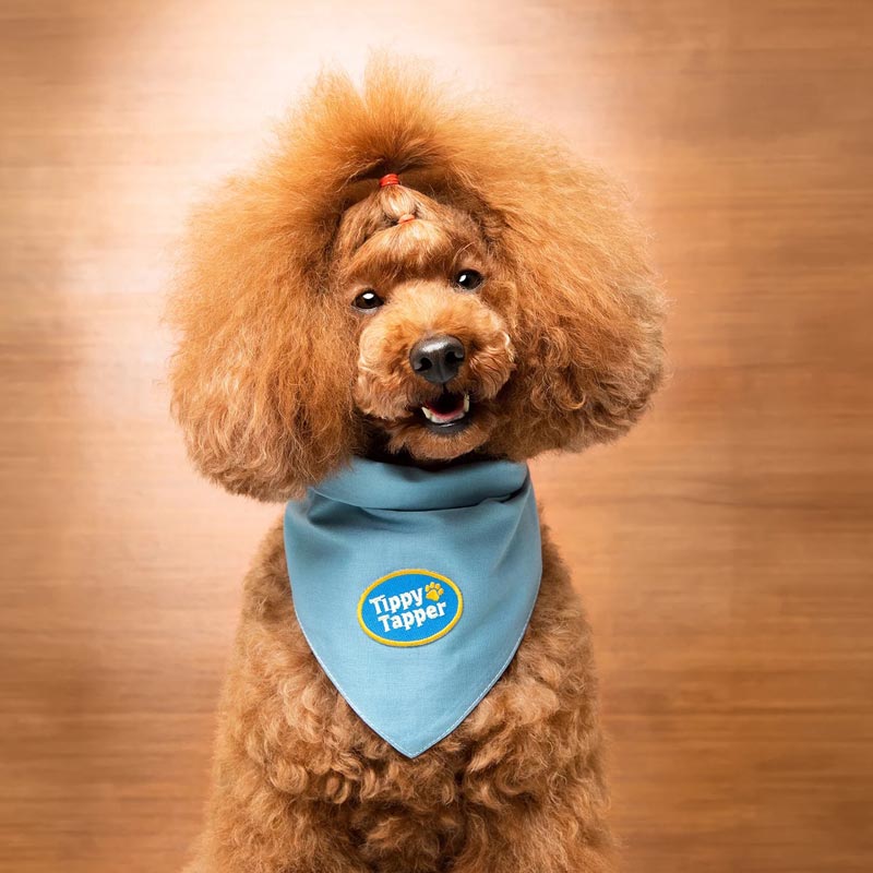 Scout's Honour Tippy Tapper Merit Badge - CreatureLand