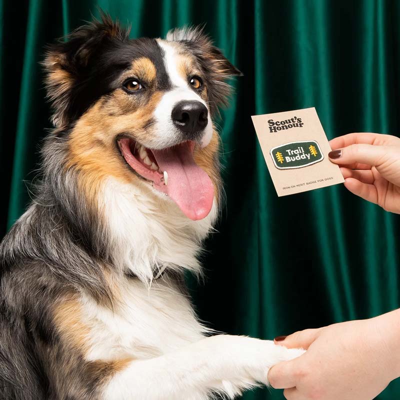 Scout's Honour Trail Buddy Merit Badge - CreatureLand
