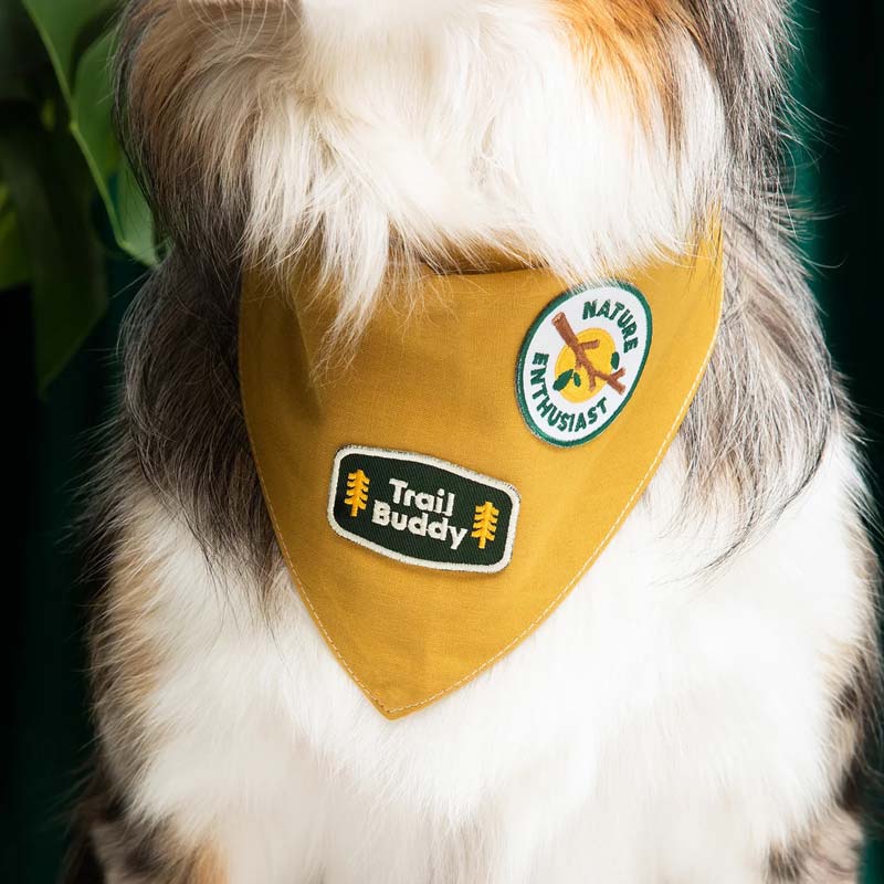 Scout's Honour Trail Buddy Merit Badge - CreatureLand