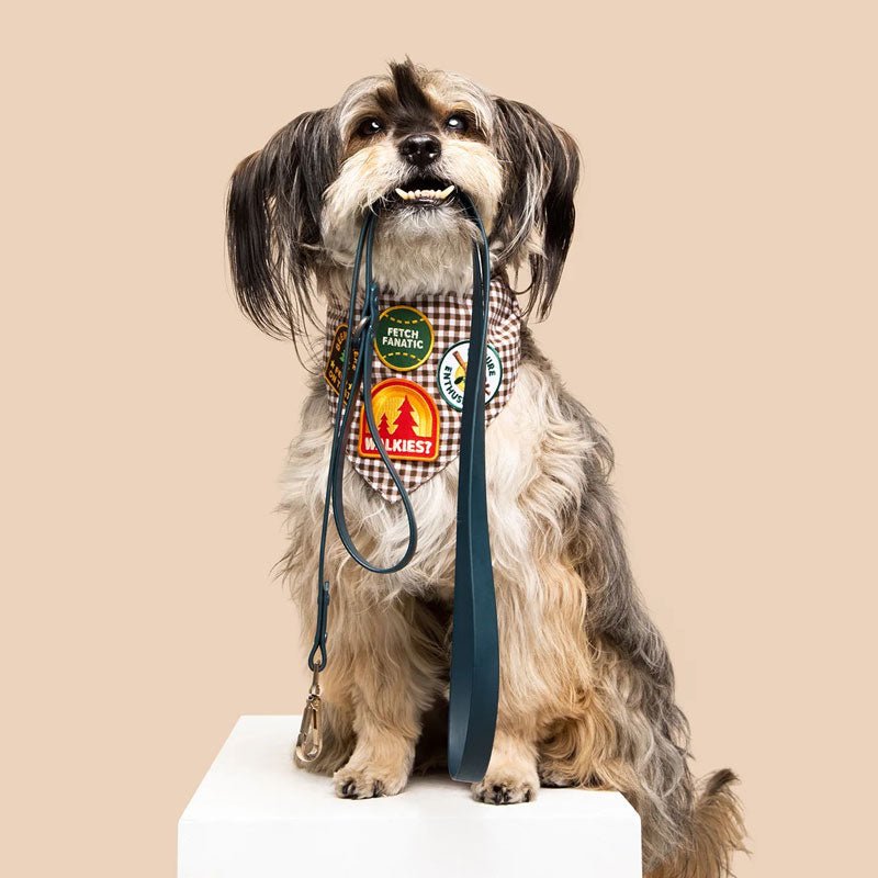 Scout's Honour Walkies Merit Badge - CreatureLand