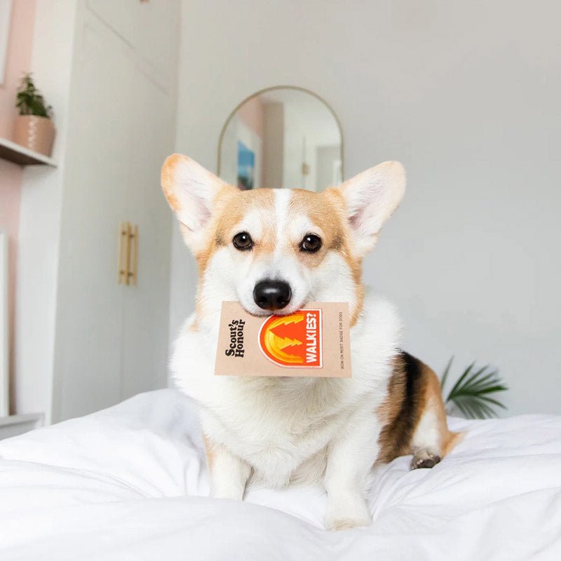 Scout's Honour Walkies Merit Badge - CreatureLand