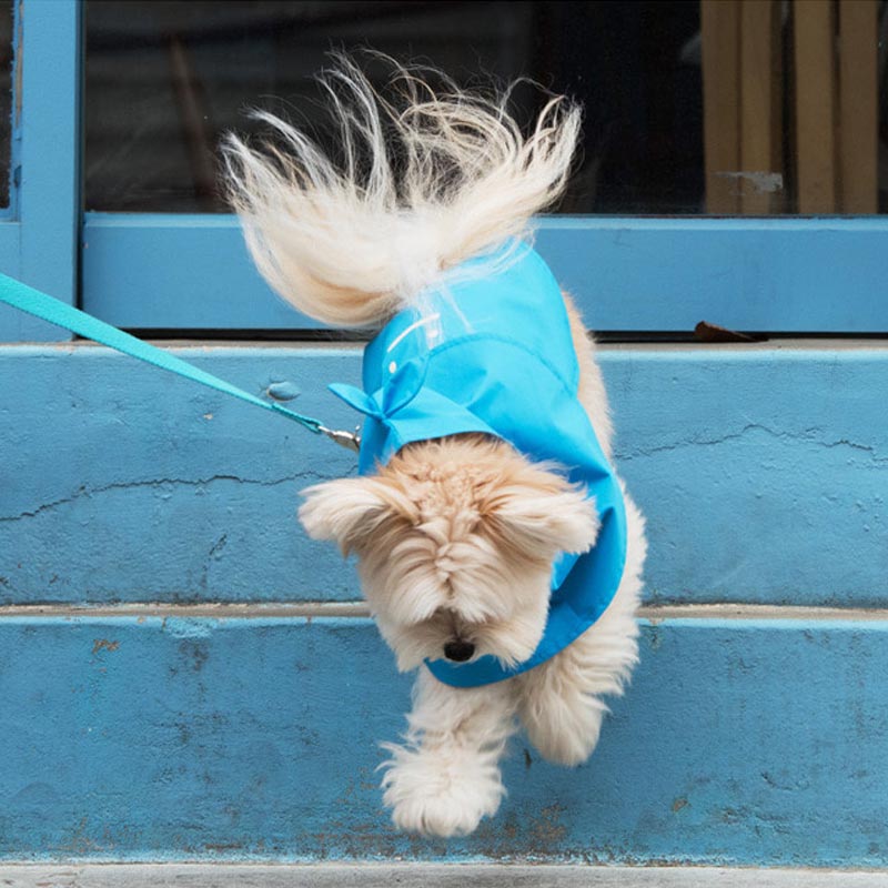 Sniff's Friends Cape Raincoat - Blue - CreatureLand