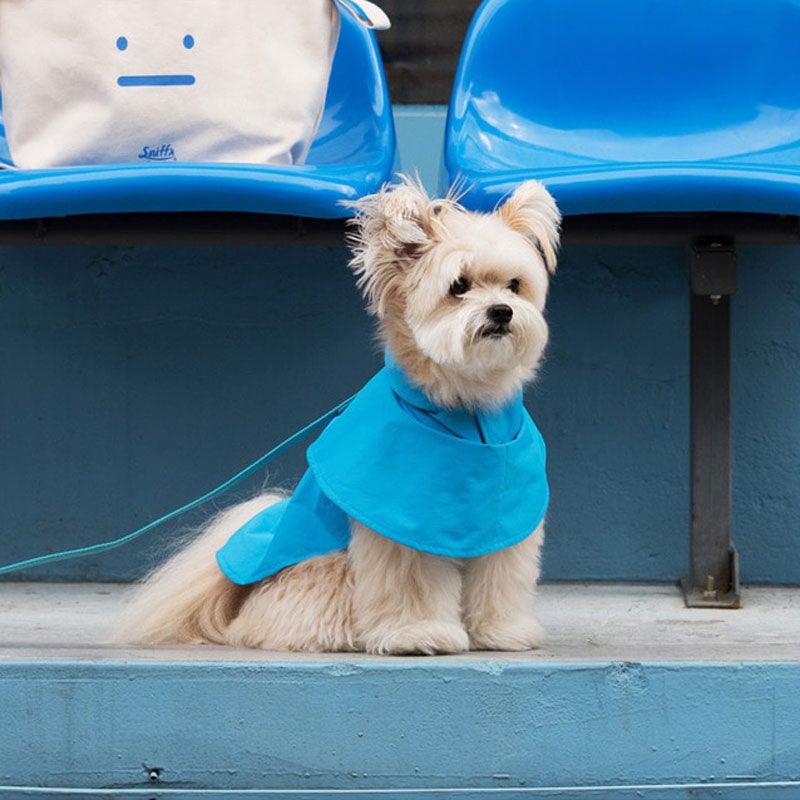 Sniff's Friends Cape Raincoat - Blue - CreatureLand