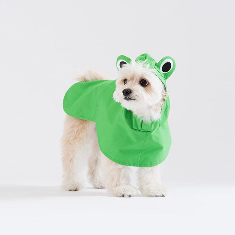 Frog raincoat for store dogs