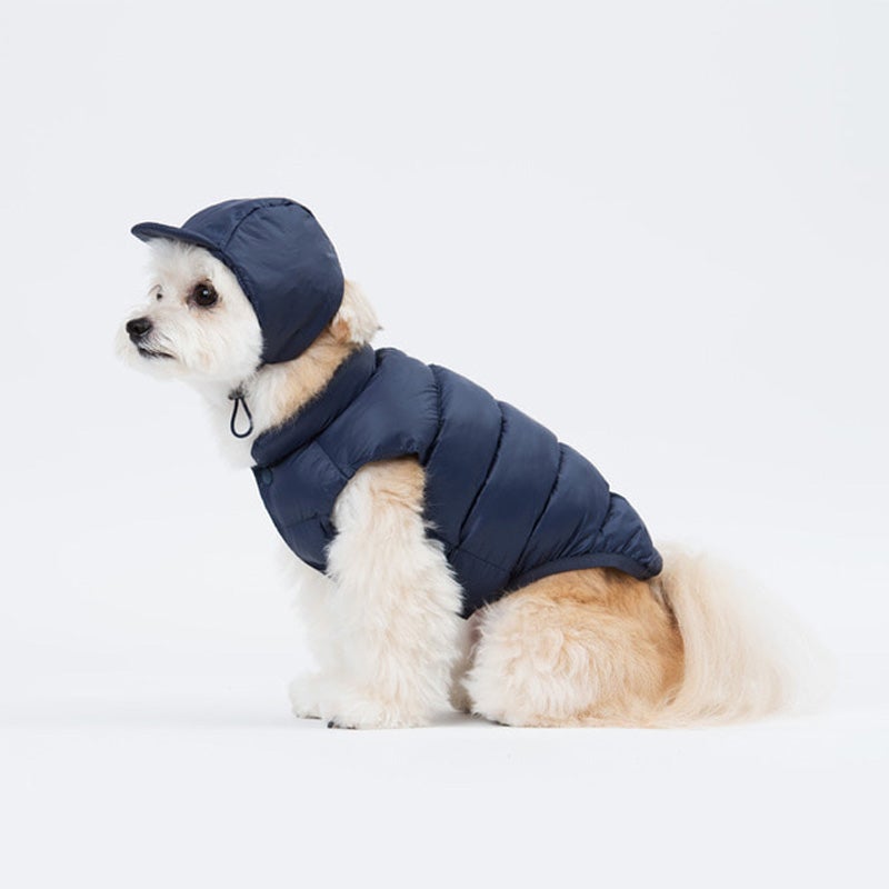 Sniff's Friends Jockey Hat - Navy - CreatureLand