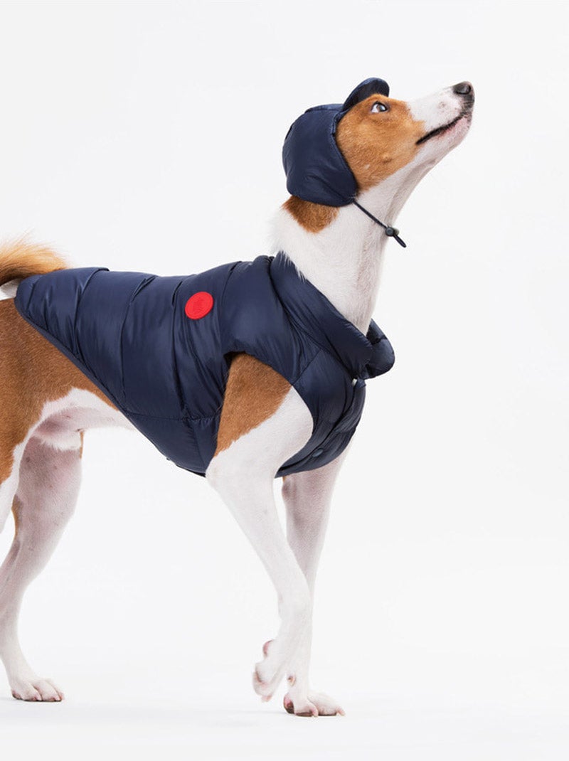 Sniff's Friends Jockey Hat - Navy - CreatureLand