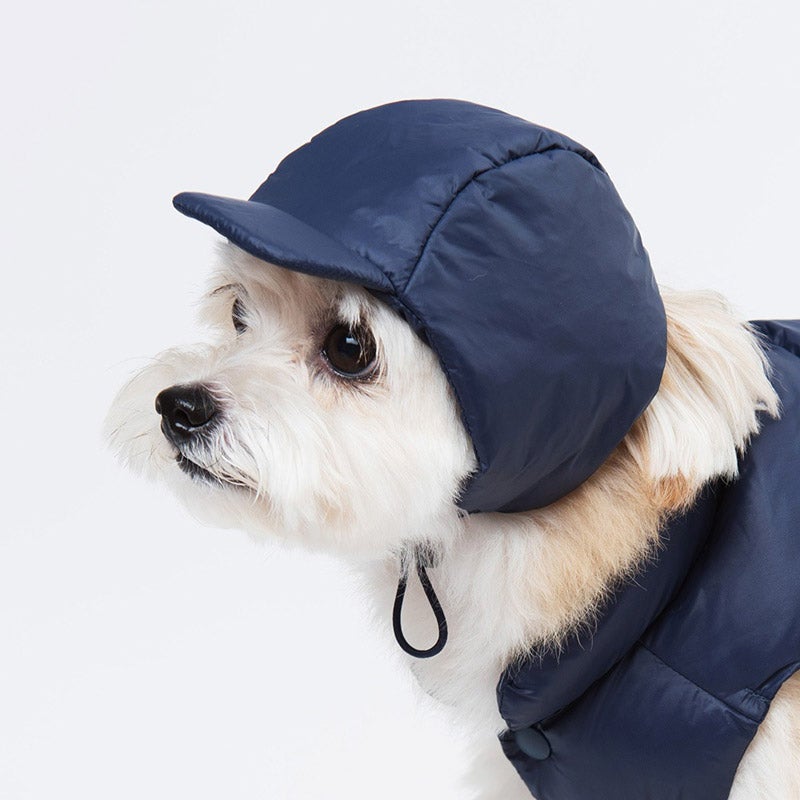 Sniff's Friends Jockey Hat - Navy - CreatureLand