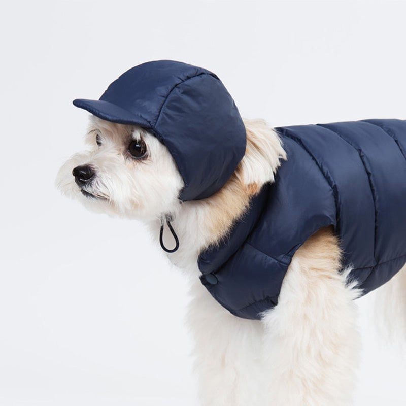 Sniff's Friends Jockey Hat - Navy - CreatureLand