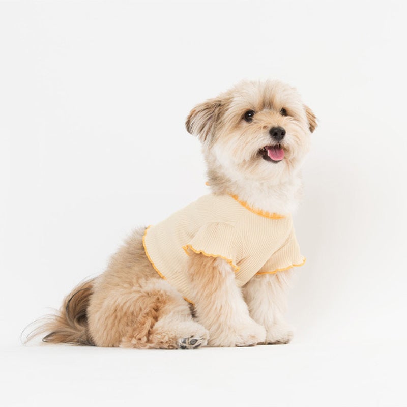 Sniff's Friends Ribbon Tie Ruffle Sleeve Crop Top - Yellow - CreatureLand