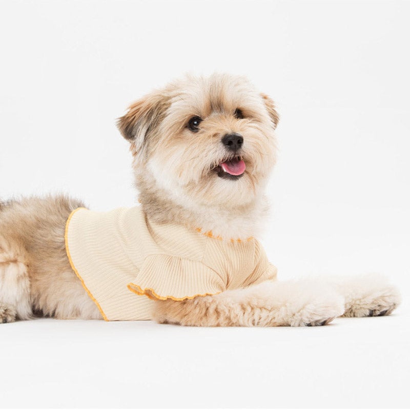 Sniff's Friends Ribbon Tie Ruffle Sleeve Crop Top - Yellow - CreatureLand