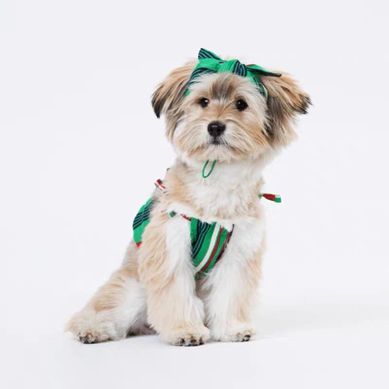Sniff's Friends Stripe Headband - Green - CreatureLand
